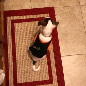 Meet your Posher, Sherry